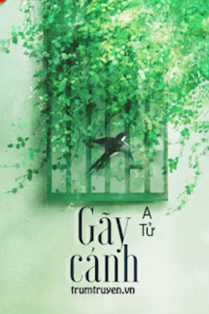 Gãy Cánh - A Tử <